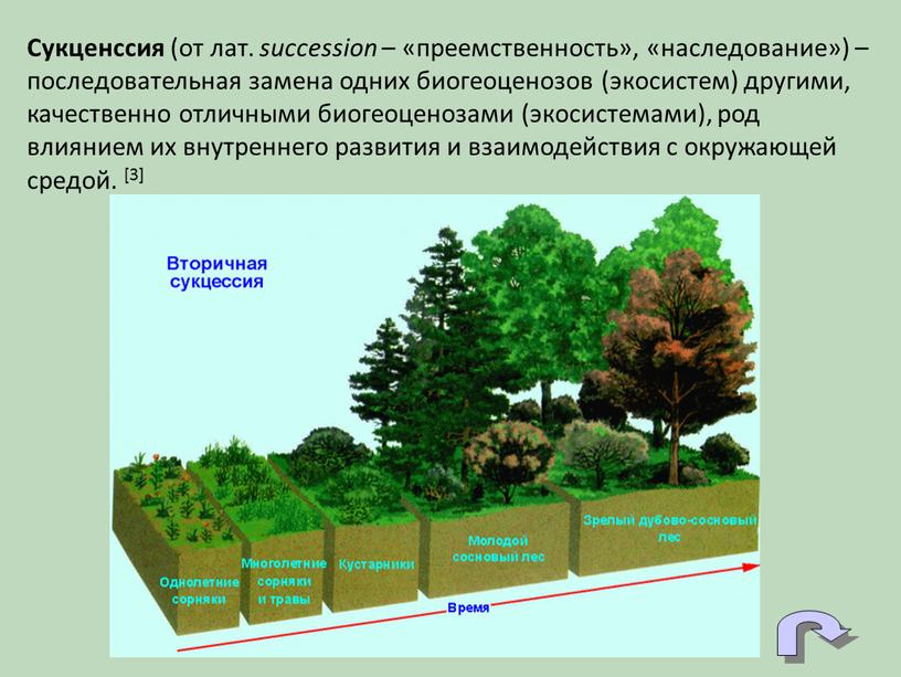 Сукценссия (от лат. succession – «преемственность», «наследование») – последовательная замена одних биогеоценозов (экосистем) другими, качественно отличными биогеоценозами (экосистемами), род влиянием их внутреннего развития и взаимодействия…