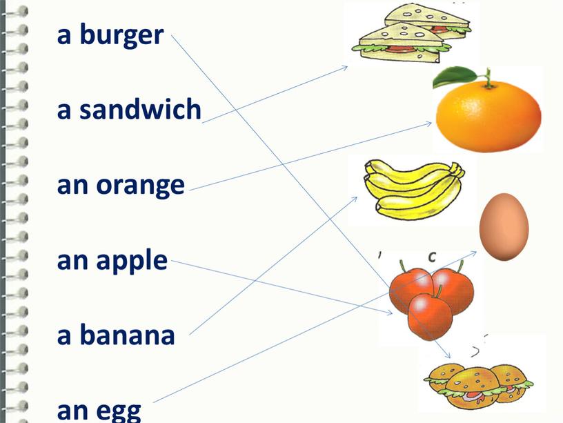 a burger a sandwich an orange an apple a banana an egg