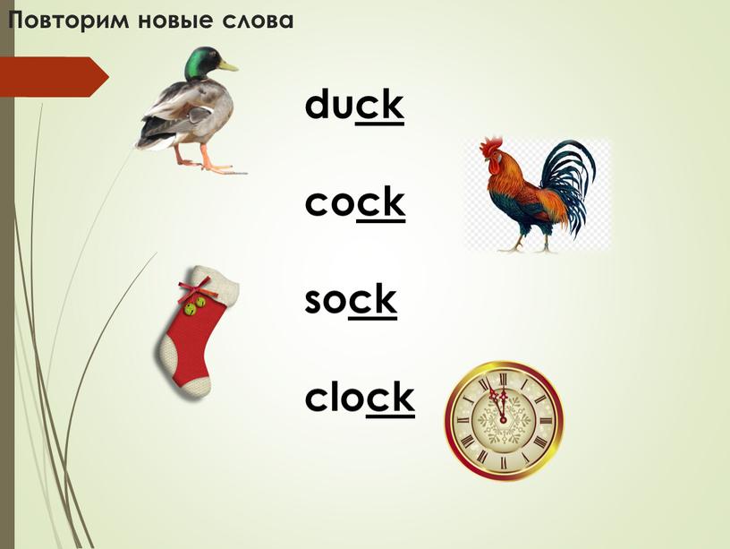 Повторим новые слова duck cock sock clock