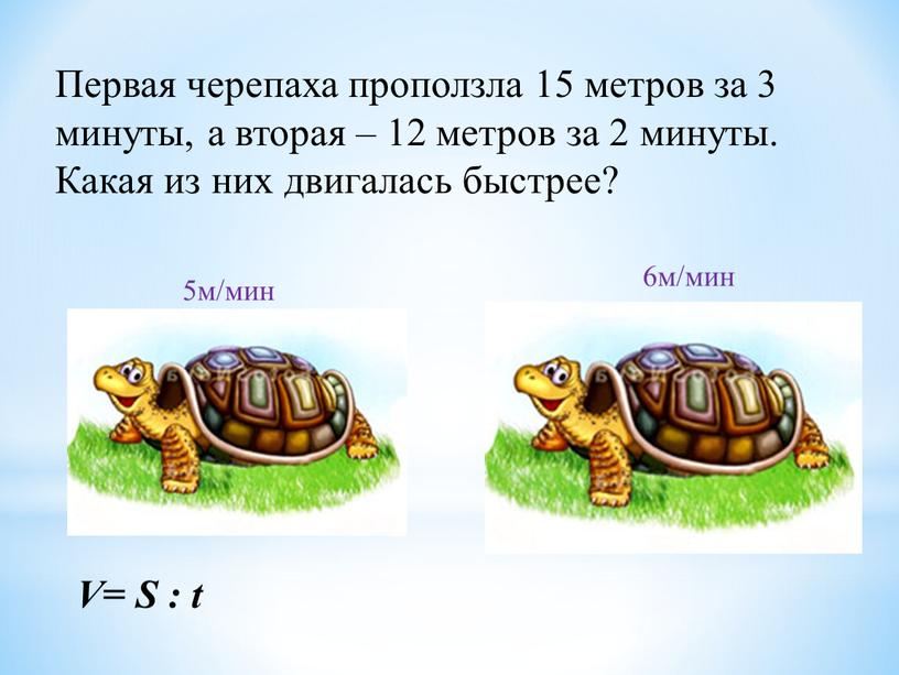 Первая черепаха проползла 15 метров за 3 минуты, а вторая – 12 метров за 2 минуты