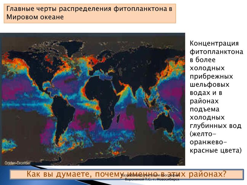 Главные черты распределения фитопланктона в