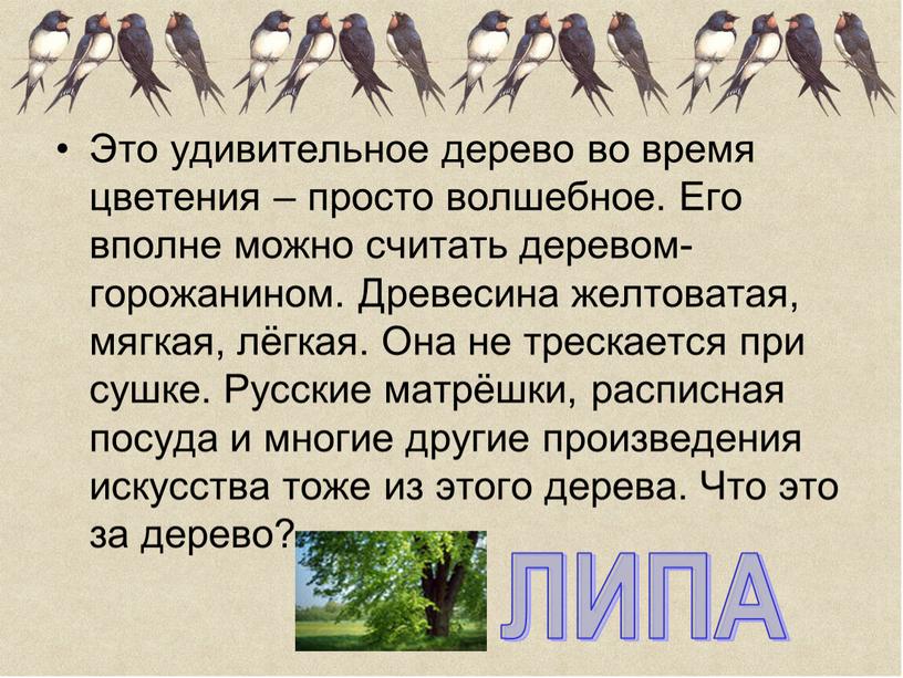 Это удивительное дерево во время цветения – просто волшебное