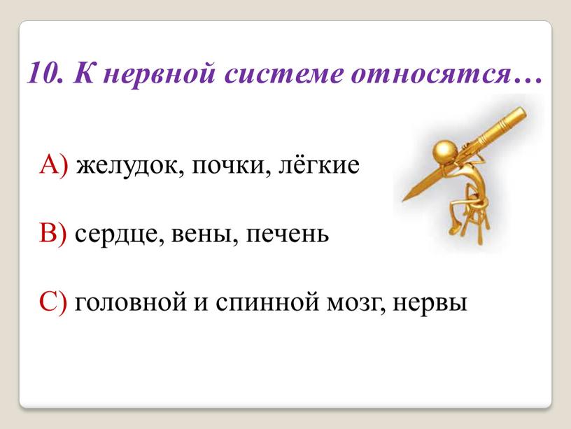 К нервной системе относятся… А) желудок, почки, лёгкие