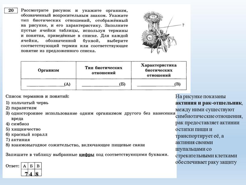 На рисунке показаны актиния и рак-отшельник , между ними существуют симбиотические отношения, рак предоставляет актинии остатки пищи и транспортирует её, а актиния своими щупальцами со…