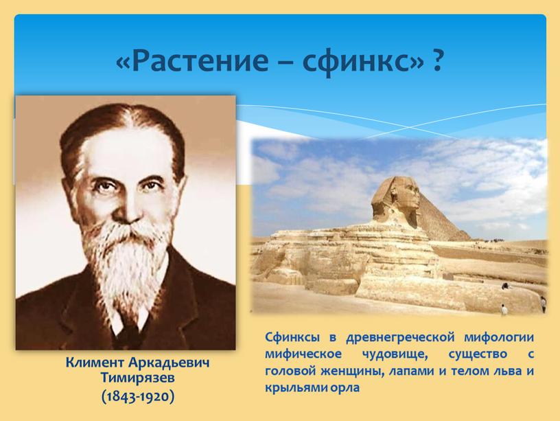 Климент Аркадьевич Тимирязев (1843-1920) «Растение – сфинкс» ?