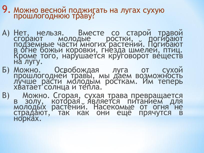 Можно весной поджигать на лугах сухую прошлогоднюю траву?