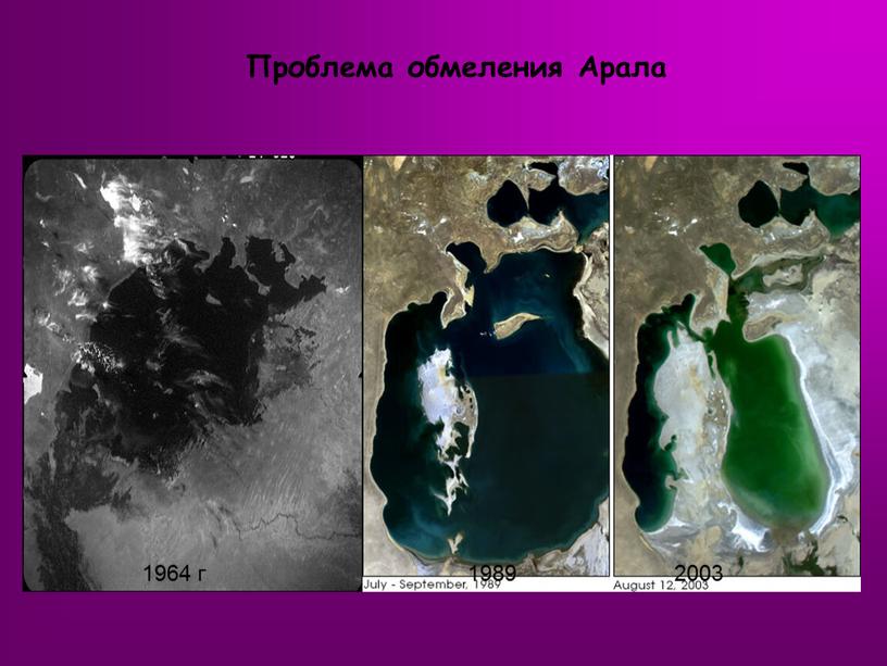 1964 г 1989 2003 Проблема обмеления Арала