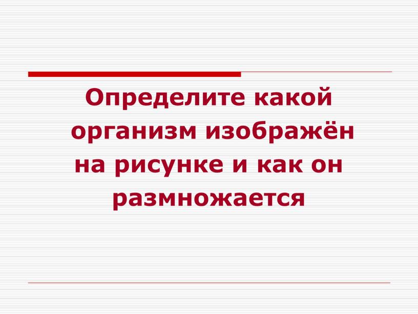 Определите какой организм изображён на рисунке и как он размножается