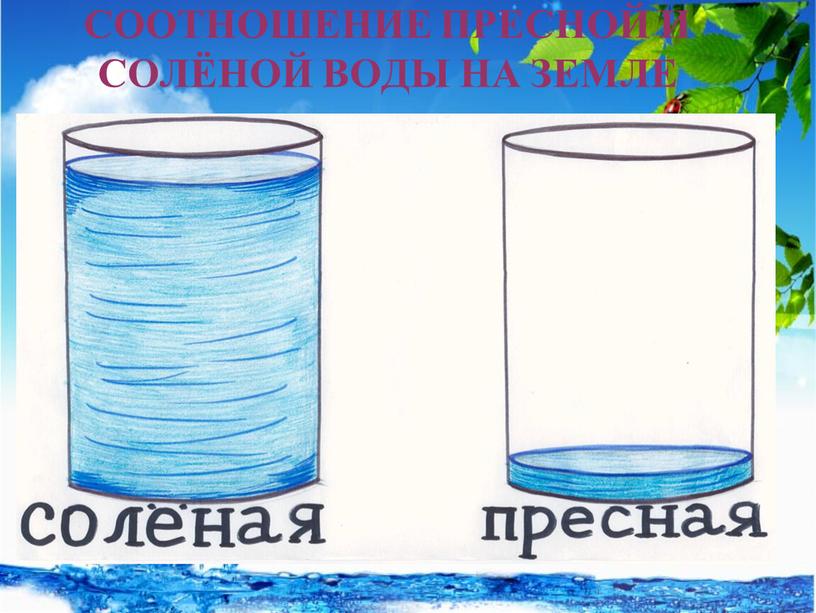 СООТНОШЕНИЕ ПРЕСНОЙ И СОЛЁНОЙ ВОДЫ