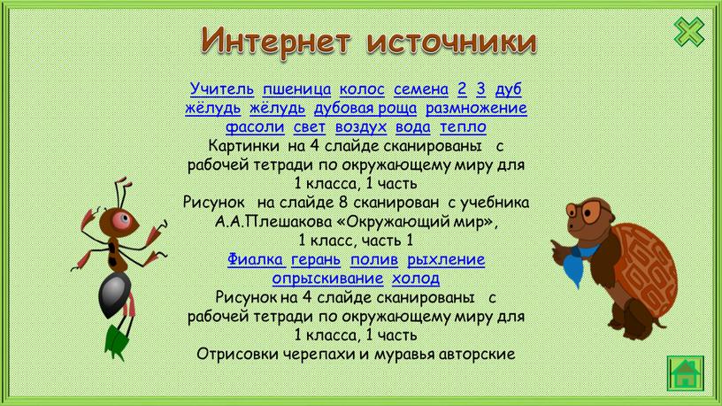 Учитель пшеница колос семена 2 3 дуб жёлудь жёлудь дубовая роща размножение фасоли свет воздух вода тепло