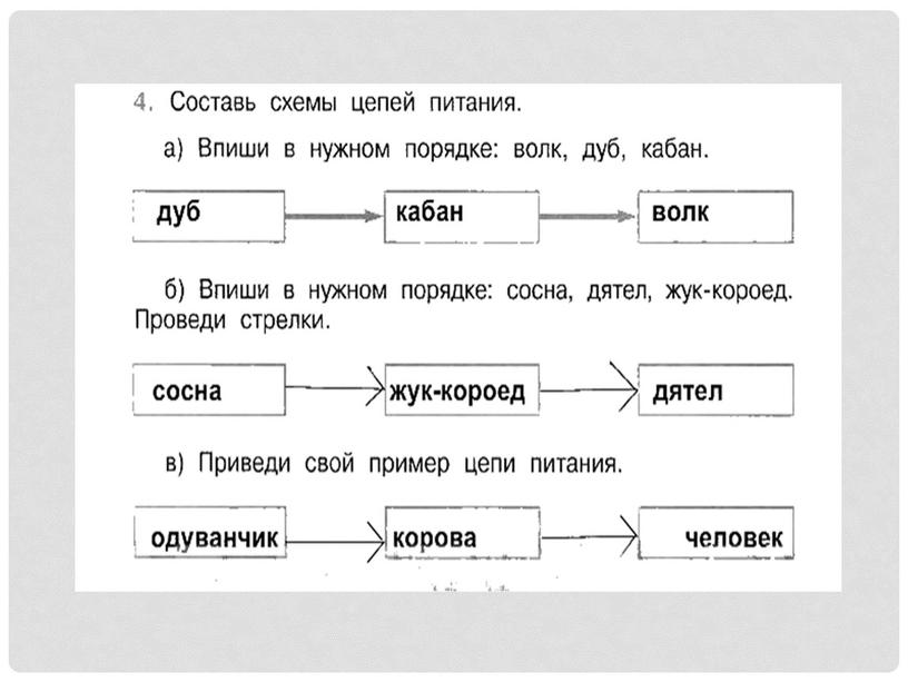 Презентация по окружающему миру "Кто что ест"