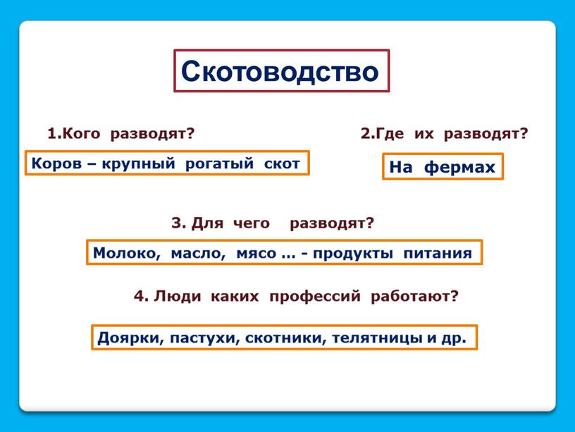 Скотоводство 1.Кого разводят? 2