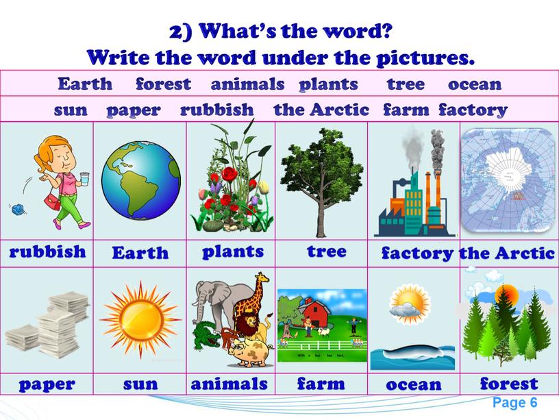 Earth forest animals plants tree ocean sun paper rubbish the