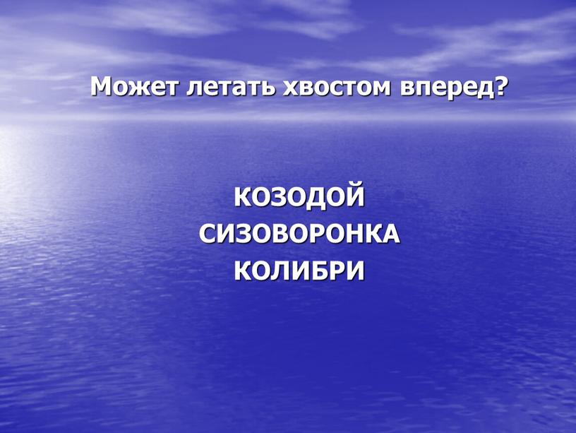 Может летать хвостом вперед?