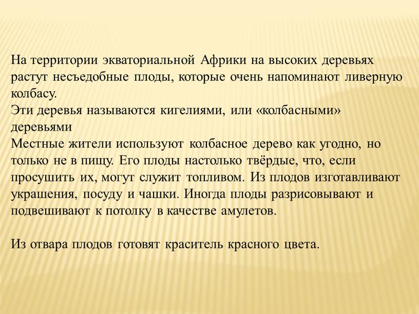 На территории экваториальной Африки на высоких деревьях растут несъедобные плоды, которые очень напоминают ливерную колбасу