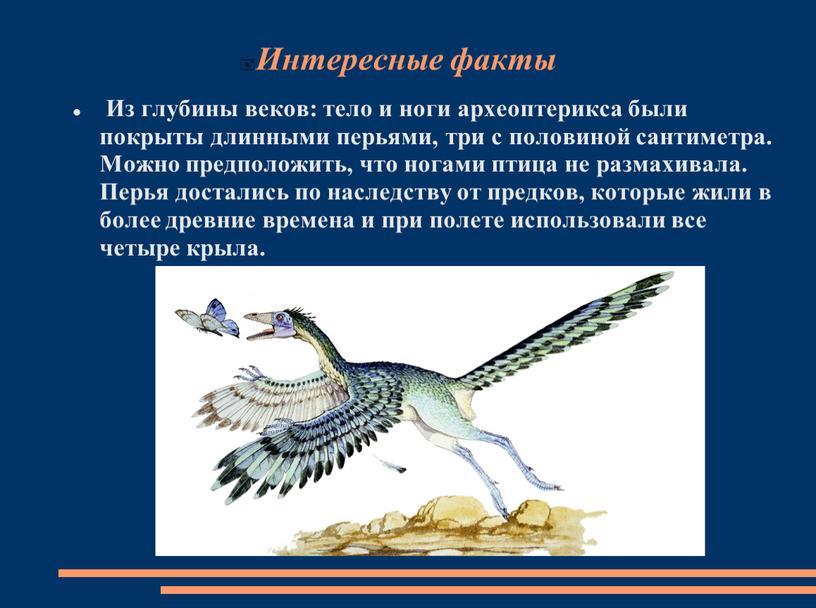 Интересные факты Из глубины веков: тело и ноги археоптерикса были покрыты длинными перьями, три с половиной сантиметра