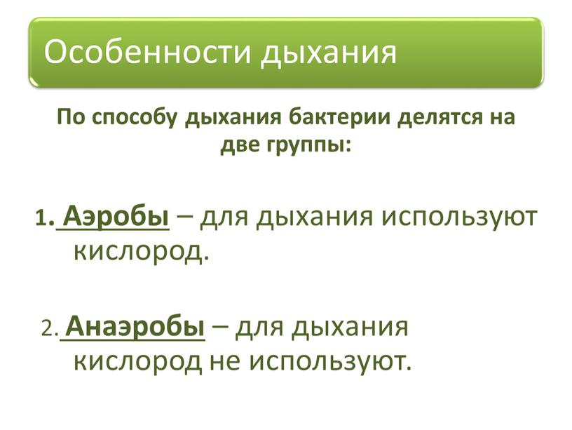 По способу дыхания бактерии делятся на две группы: 1