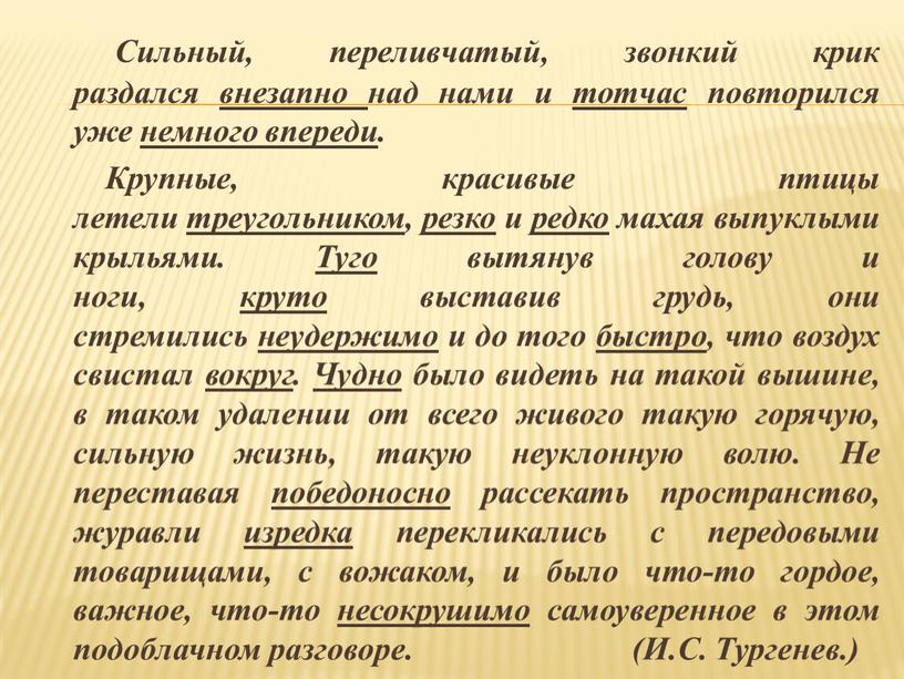 Сильный, переливчатый, звонкий крик раздался внезапно над нами и тотчас повторился уже немного впереди