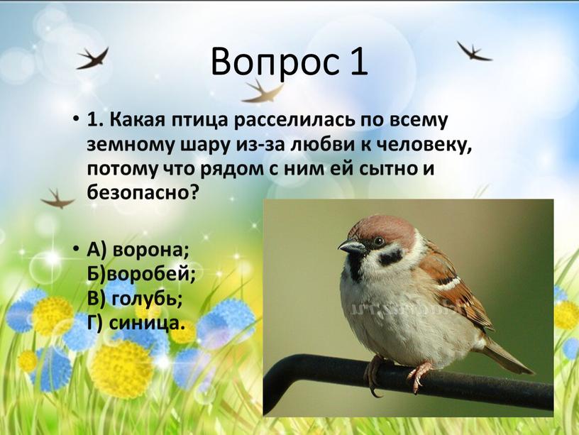 Вопрос 1 1. Какая птица расселилась по всему земному шару из-за любви к человеку, потому что рядом с ним ей сытно и безопасно?