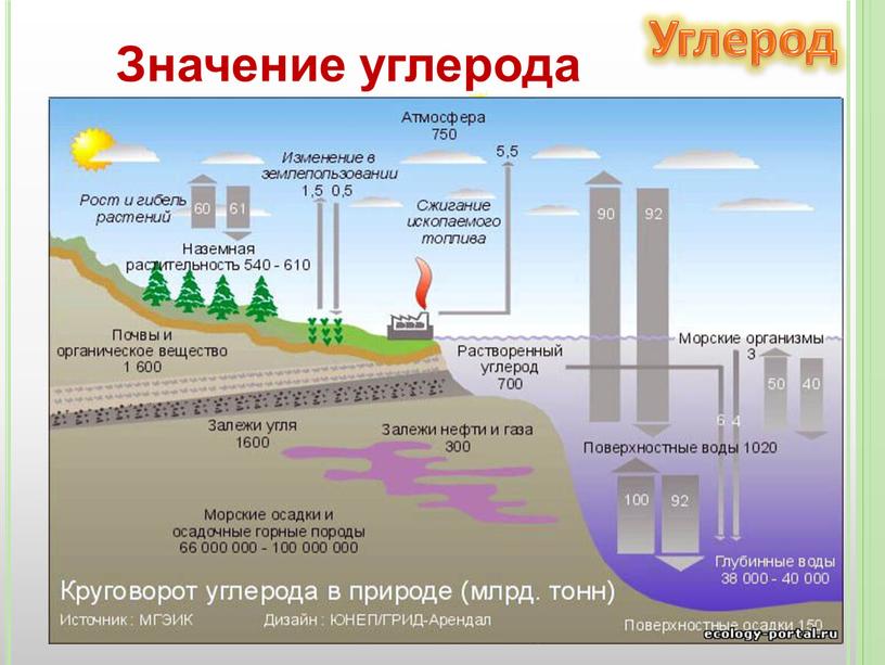 Углерод Значение углерода В процессе фотосинтеза происходит превращение солнечной энергии в химическую