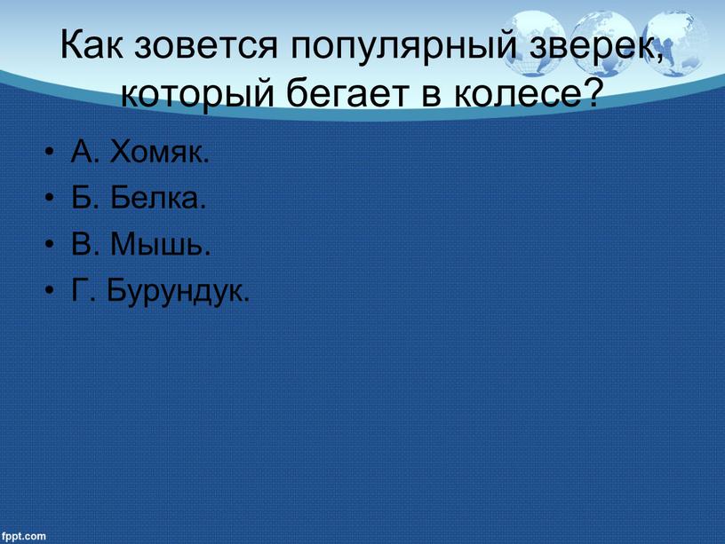 Как зовется популярный зверек, который бегает в колесе?