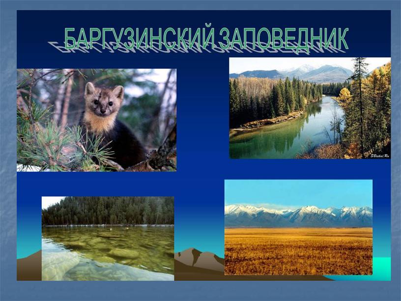 Технологическая карта урока биологии в 5 классе  на тему "Сохраним богатства живого мира"