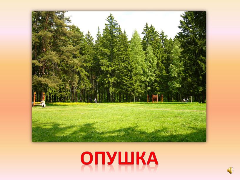 опушка