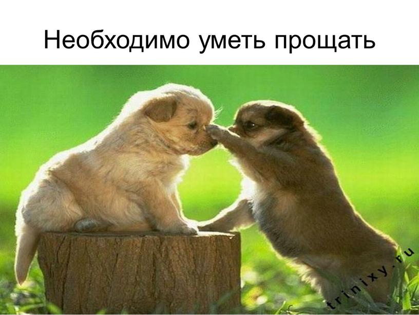 Необходимо уметь прощать