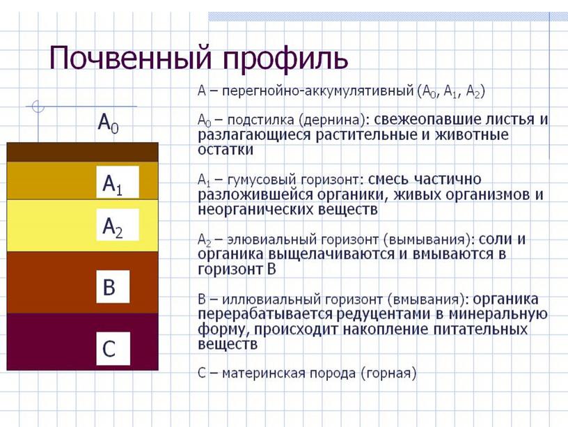 Урок по географии 7 класс по теме: "Почвы России"