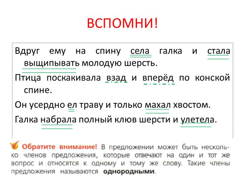 ВСПОМНИ! Вдруг ему на спину села галка и стала выщипывать молодую шерсть