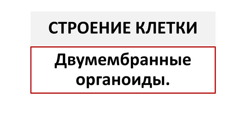 Двумембранные органоиды. СТРОЕНИЕ