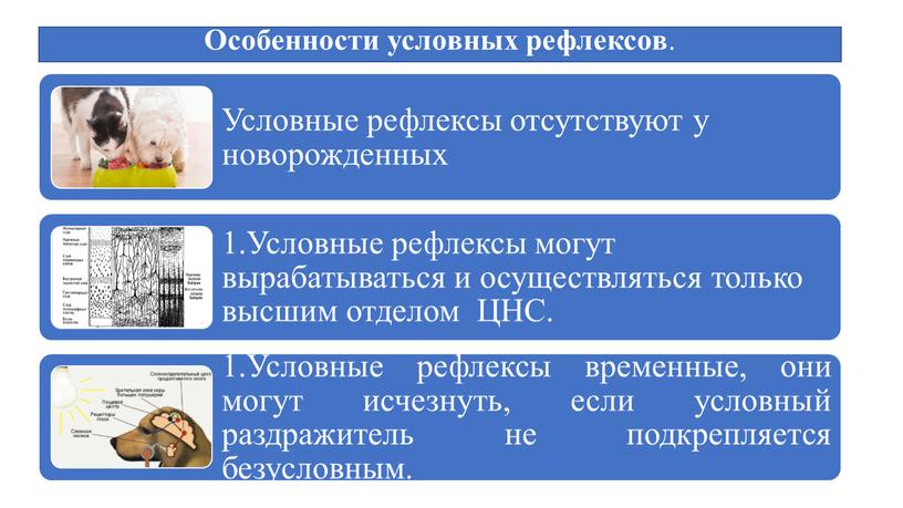 Особенности условных рефлексов