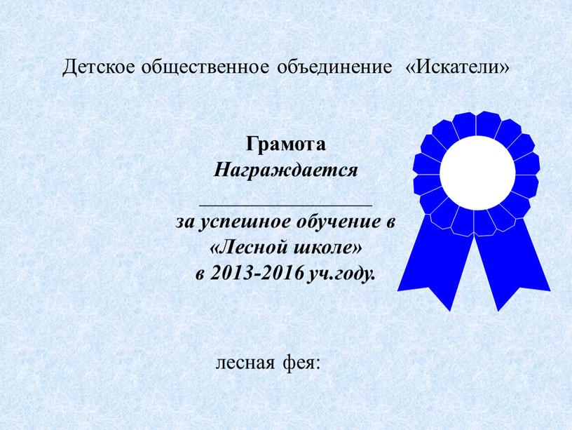 Детское общественное объединение «Искатели»