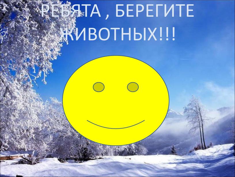 РЕБЯТА , БЕРЕГИТЕ ЖИВОТНЫХ!!!