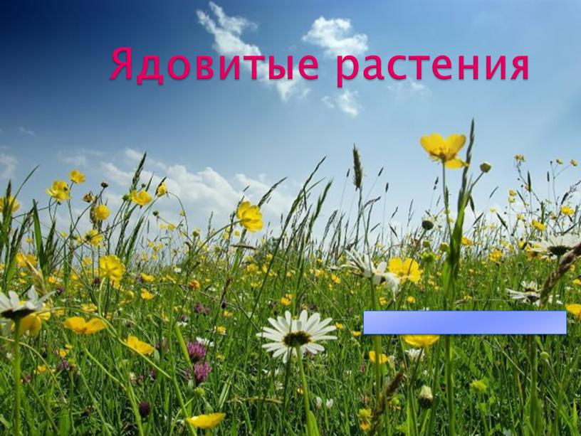 Ядовитые растения