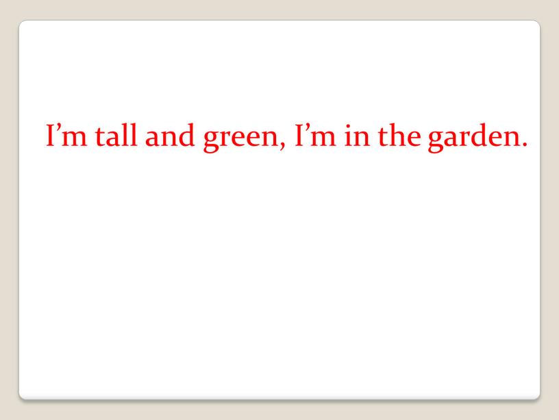 I’m tall and green, I’m in the garden