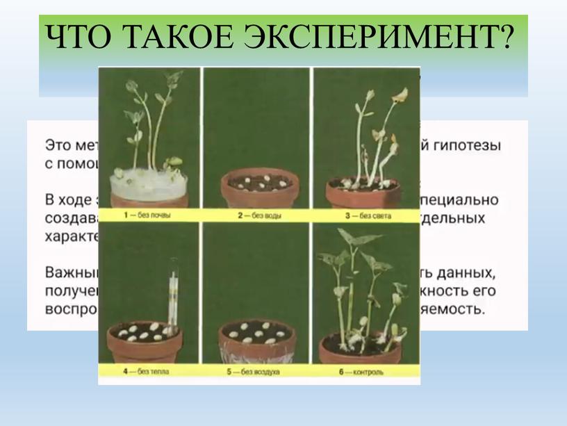 ЧТО ТАКОЕ ЭКСПЕРИМЕНТ?