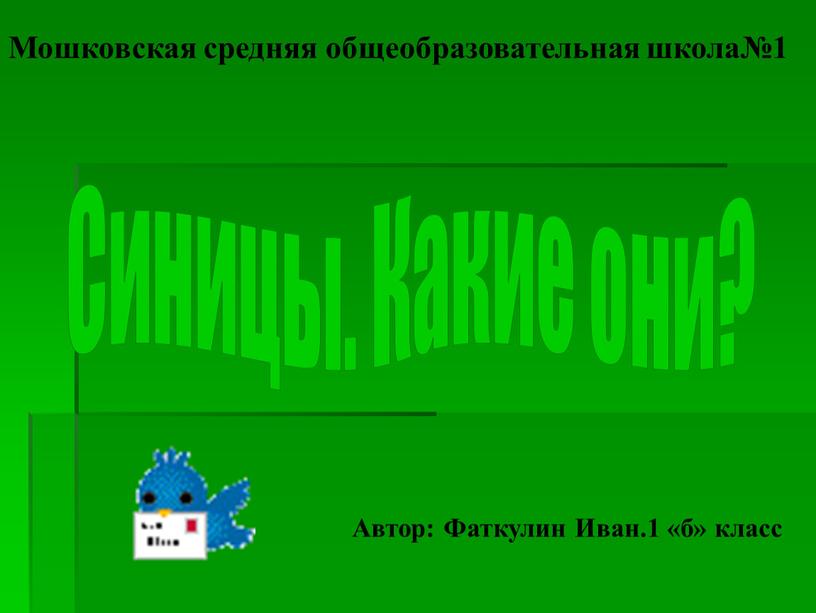 Синицы. Какие они? Мошковская средняя общеобразовательная школа№1