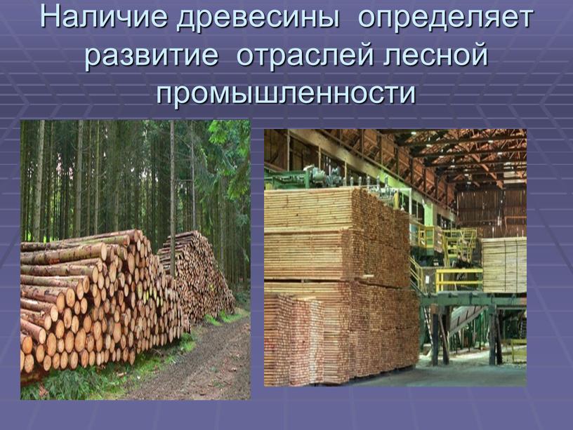 Наличие древесины определяет развитие отраслей лесной промышленности