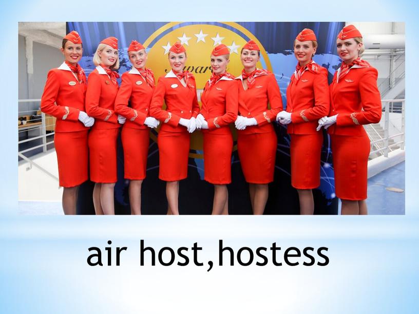 air host,hostess