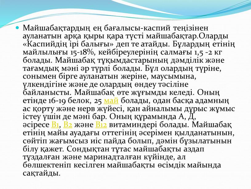 Майшабақтардың ең бағалысы-каспий теңізінен ауланатын арқа қыры қара түсті майшабақтар