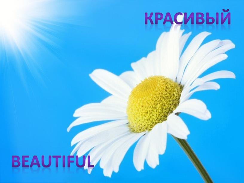 КРАСИВЫЙ BEAUTIFUL