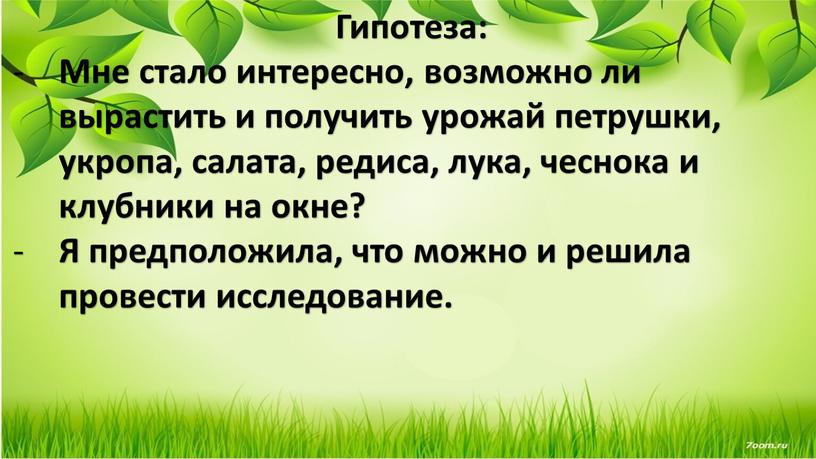 Гипотеза: Мне стало интересно, возможно ли вырастить и получить урожай петрушки, укропа, салата, редиса, лука, чеснока и клубники на окне?