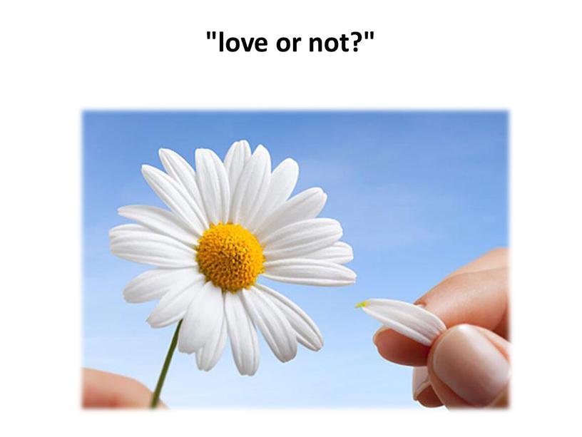 "love or not?"