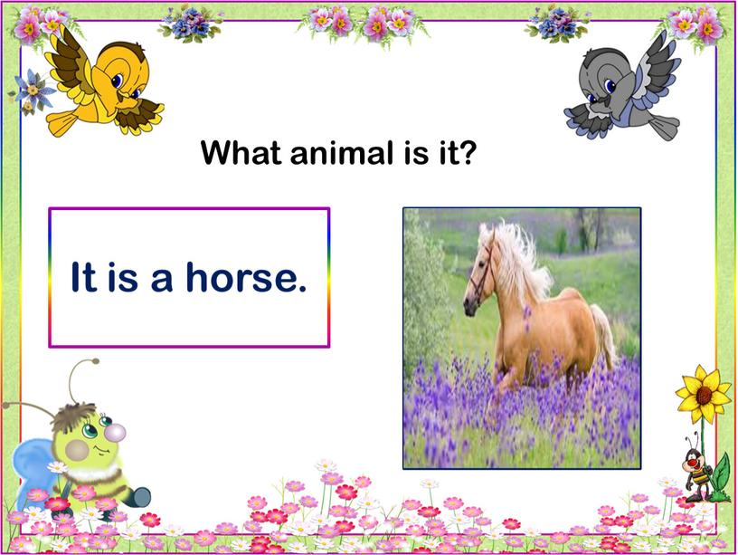 What animal is it? It is a horse