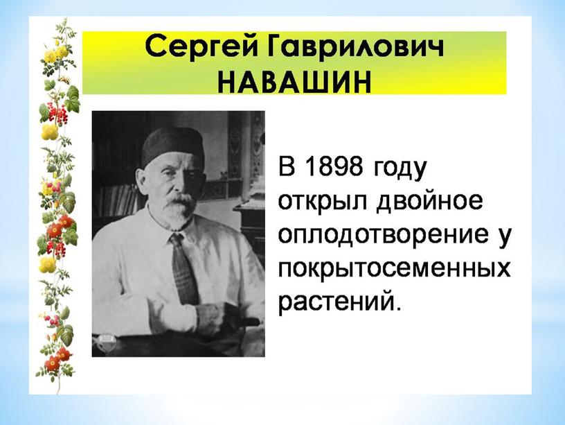 Урок по теме: «ПОЛОВОЕ РАЗМНОЖЕНИЕ РАСТЕНИЙ» (биология 6 класс)