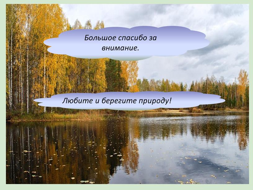 Большое спасибо за внимание. Любите и берегите природу!