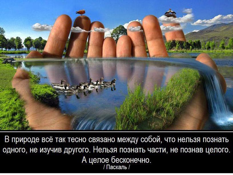 Презентация по биологии на тему "Важность охраны живого мира планеты" (5 класс)