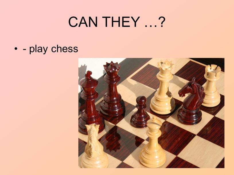 CAN THEY …? - play chess