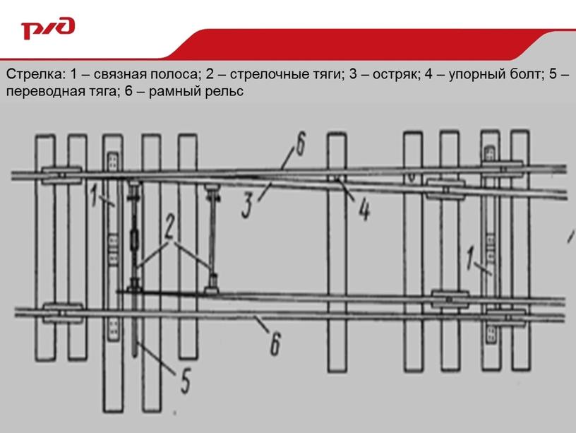 Стрелка: 1 – связная полоса; 2 – стрелочные тяги; 3 – остряк; 4 – упорный болт; 5 – переводная тяга; 6 – рамный рельс